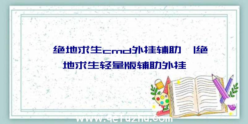 「绝地求生cmd外挂辅助」|绝地求生轻量版辅助外挂